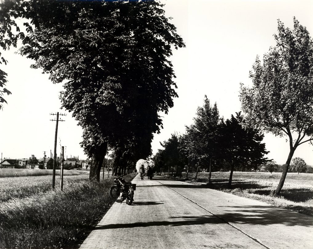 Tychy Dawniej - al. Bielska, stare zdjęcia