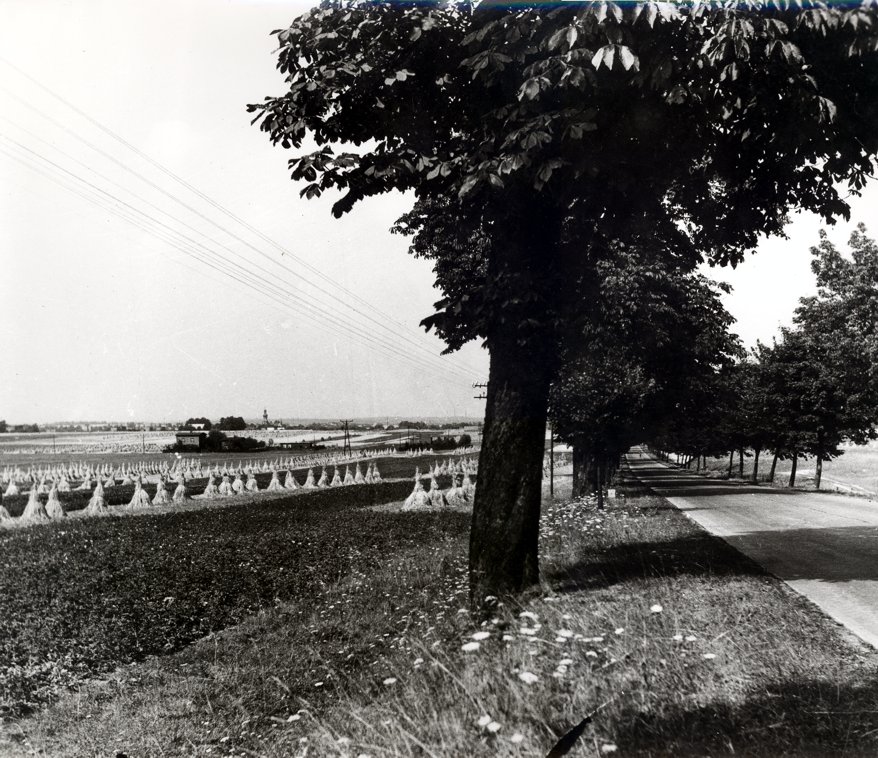 Tychy Dawniej - al. Bielska, stare zdjęcia