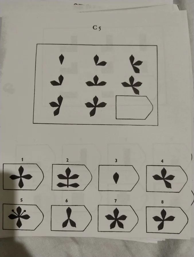 Zadanie 5 testu matryc Ravena - analiza wzorca logicznego